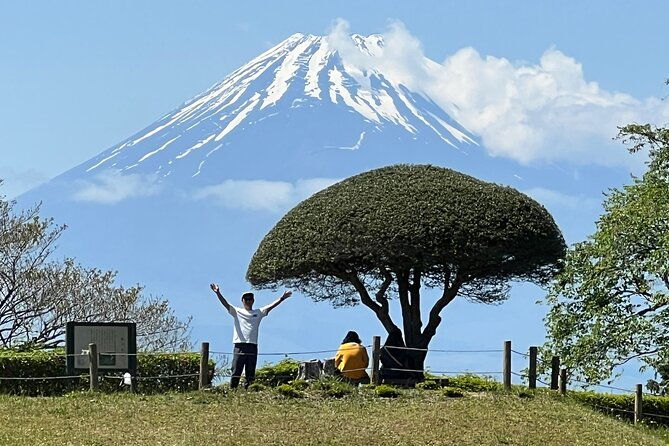 hike-japan-heritage-hakone-hachiri-with-certified-mountain-guide