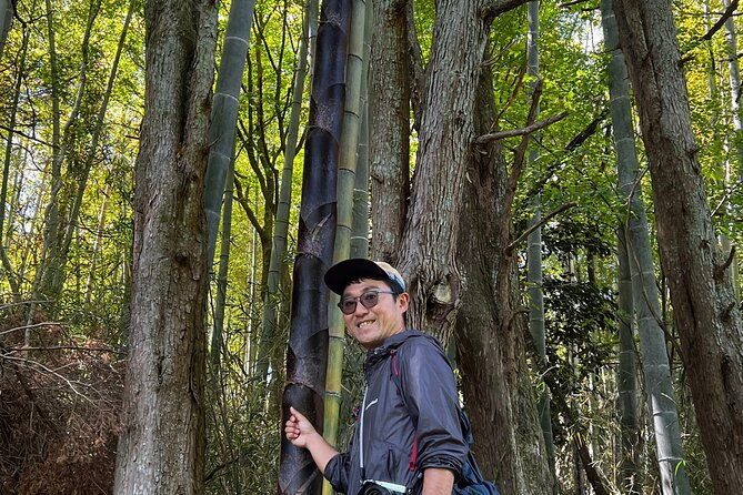 hike-japan-heritage-hakone-hachiri-with-certified-mountain-guide