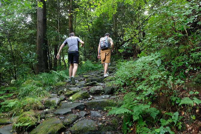 hike-japan-heritage-hakone-hachiri-with-certified-mountain-guide