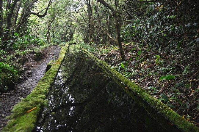 hike-lagoa-do-fogo-trail