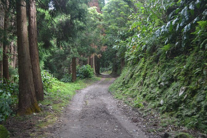 hike-lagoa-do-fogo-trail