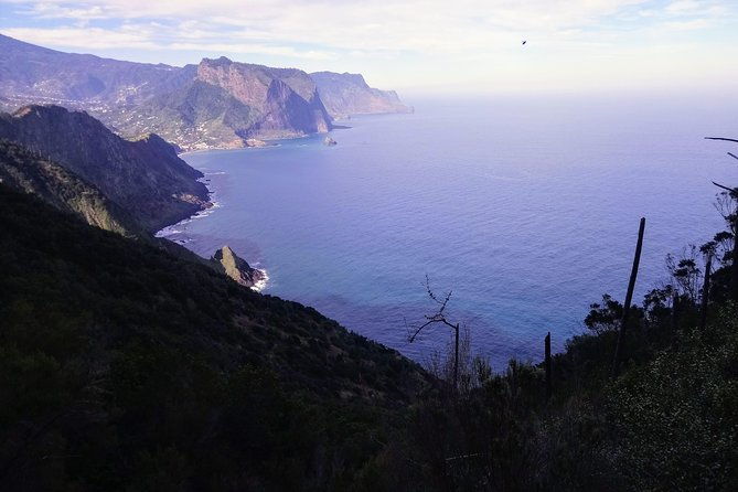 hike-larano-boca-do-risco-porto-da-cruz-levada-in-a-small-group-2
