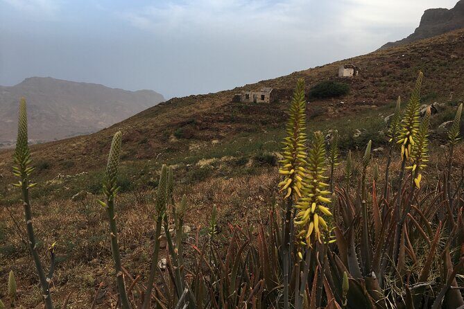 Hike Monte Verde, Natural Park, São Vicente, 3h +/- (roundtrip) - Final thoughts