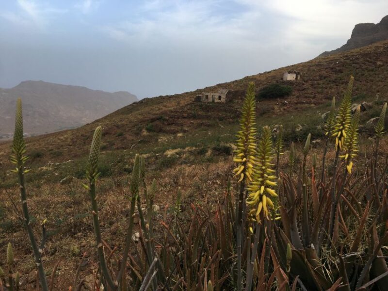 Hike Monte Verde - Final Thoughts