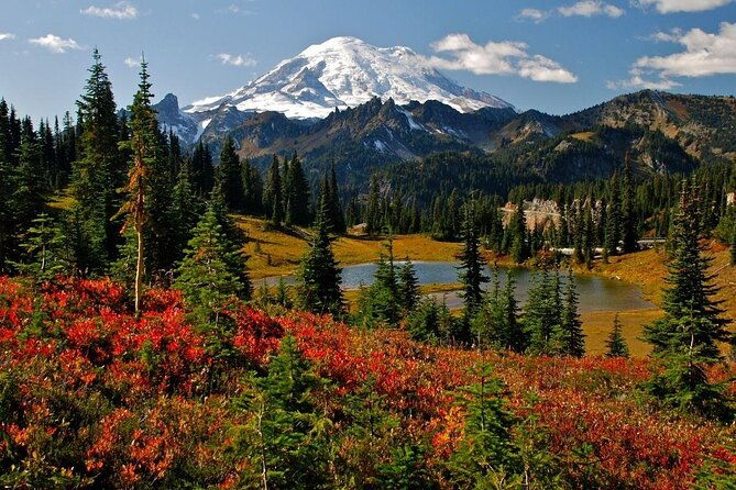 hike-mt-rainier-taste-yakima-valley-wine-all-inclusive-day-tour-from-seattle