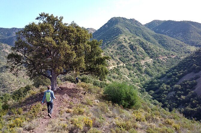 Hike the Cork Oak trail and try some Delicious Cheese - An Authentic Day Out in Sierra Espadán Natural Park