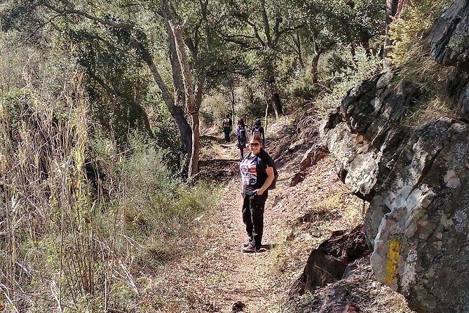 Hike the Cork Oak trail and try some Delicious Cheese - Who Is This Tour Perfect For?