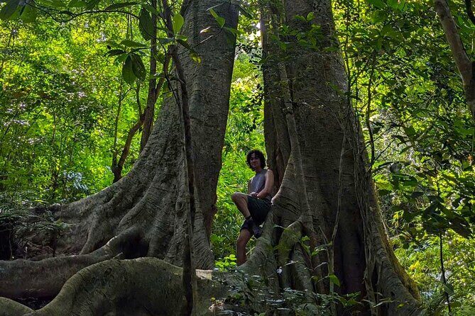 Hike the Heart of Cat Ba National Park Trekking, Biking, Kayaking - Key Points