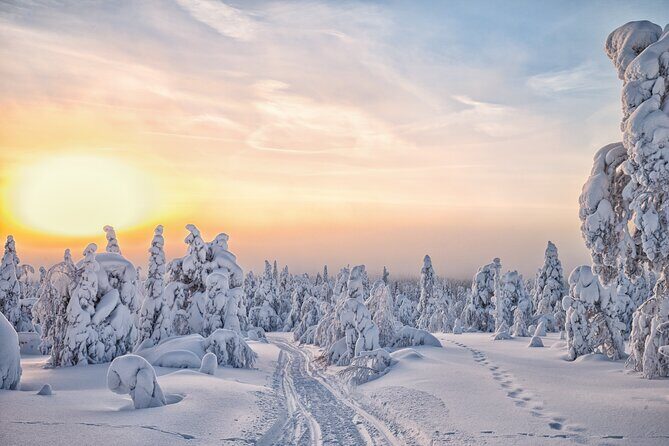 Hike to Frozen Waterfalls of Korouoma Including BBQ Lunch from Rovaniemi - Practical Details: Timing, Group Size, and Value