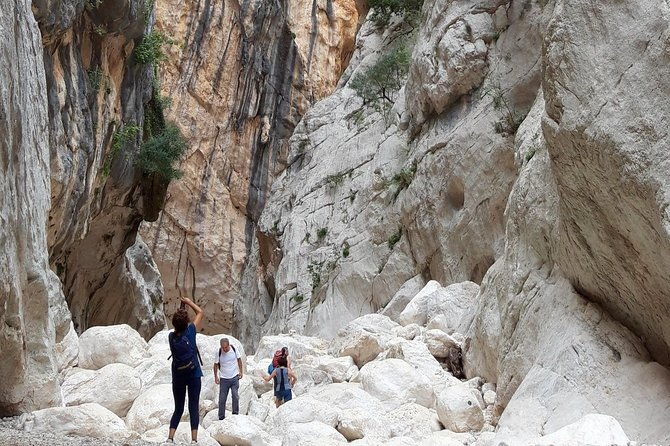 hike-to-gorropu-canyon