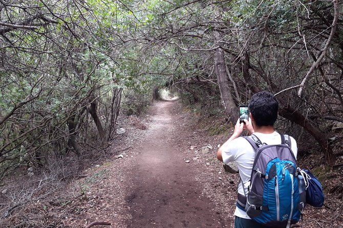 hike-to-gorropu-canyon