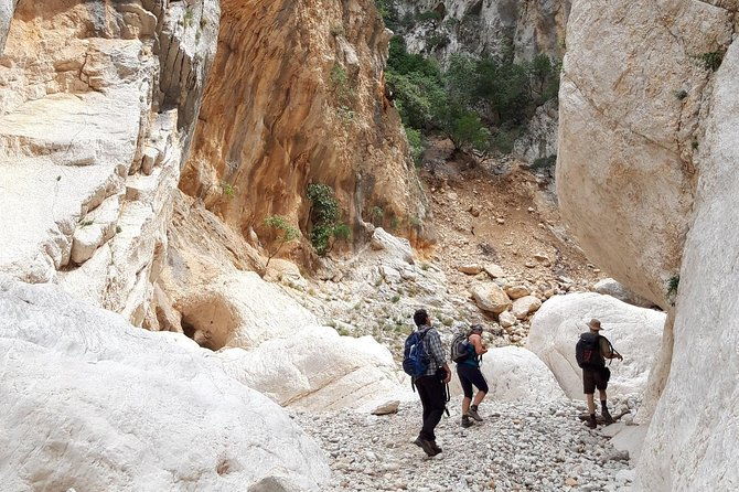 hike-to-gorropu-canyon