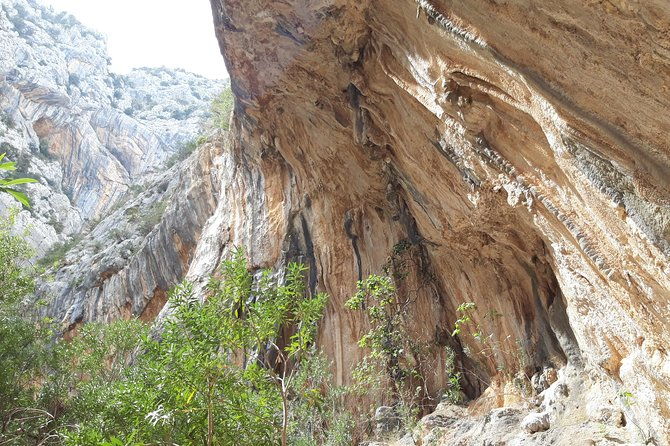 hike-to-gorropu-canyon