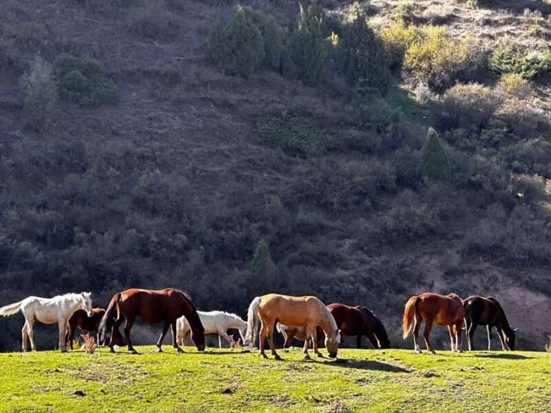 Hike to Lake Kol-Tor in the Kegety Gorge with guide - Practical Tips for Your Trip
