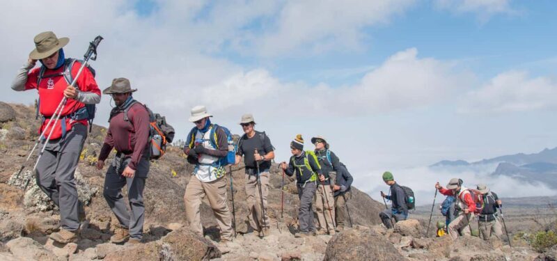 Hike to Shira Plateau on Mt. Kilimanjaro Guided Full-Day Tour - Journey to the Shira Plateau: What to Expect