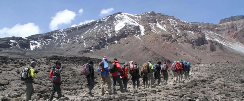 Hike to Shira Plateau on Mt. Kilimanjaro Guided Full-Day Tour - FAQ