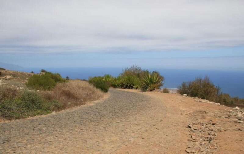 Hike to the highest point of Monte verde - The Experience Breakdown