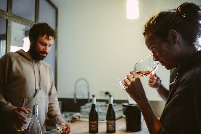 hike-to-the-top-of-pic-saint-loup-wine-food