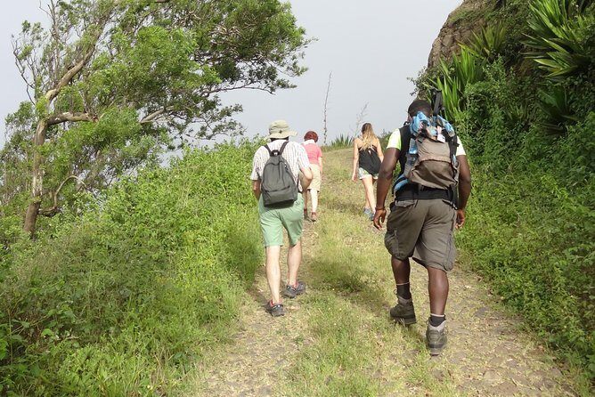 Hike Tour - Final Thoughts: Why This Hike Tour Is Worth Considering