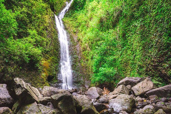 Hike Trail to Waterfall & Nature Walk - Puu Ualakaa State Park: The Viewpoint