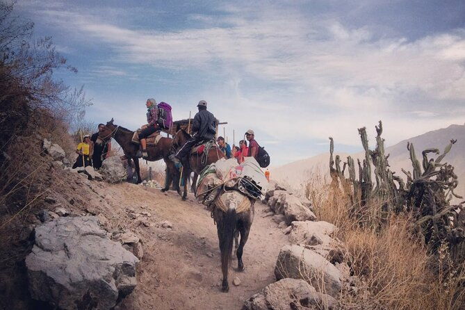 hike-trek-colca-canyon-2d-1n-with-final-in-puno