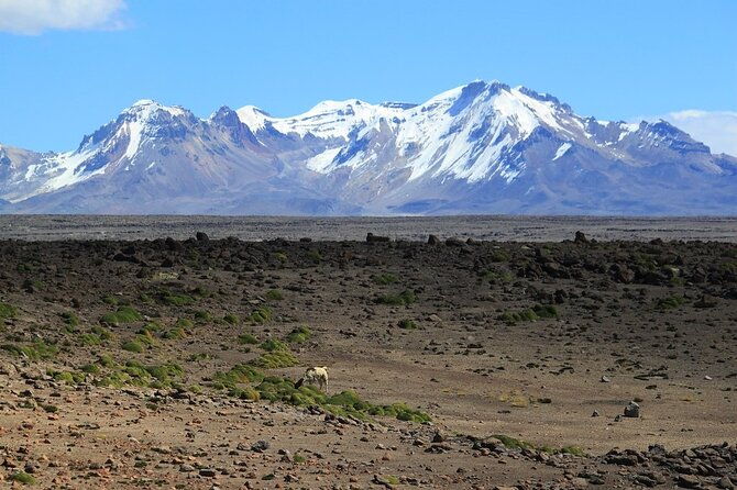 hike-trek-colca-canyon-2d-1n-with-final-in-puno