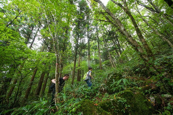 hike-up-mt-omine-and-enjoy-the-view-of-miyajima