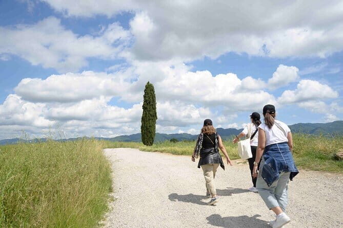Hike & Wine Tour - Key Points  