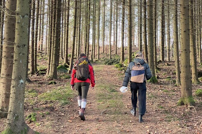 hike-with-wild-forage-surviving-tips-and-local-lunch-at-the-lake