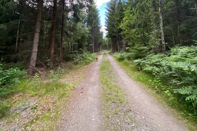 hike-with-wild-forage-surviving-tips-and-local-lunch-at-the-lake