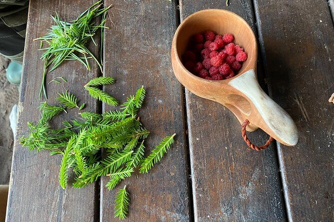 hike-with-wild-forage-surviving-tips-and-local-lunch-at-the-lake