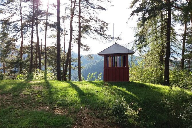 hikecity-private-tour-cultural-tour-of-brasov-follow-by-hiking-tampa-mountain