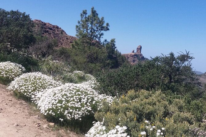 hikes-roque-nublo