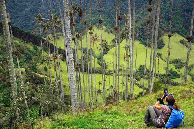 hiking-acaime-cocora-valley-private-full-day