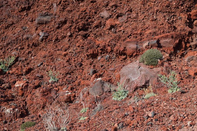 hiking-activity-through-the-volcanic-land-of-wonder