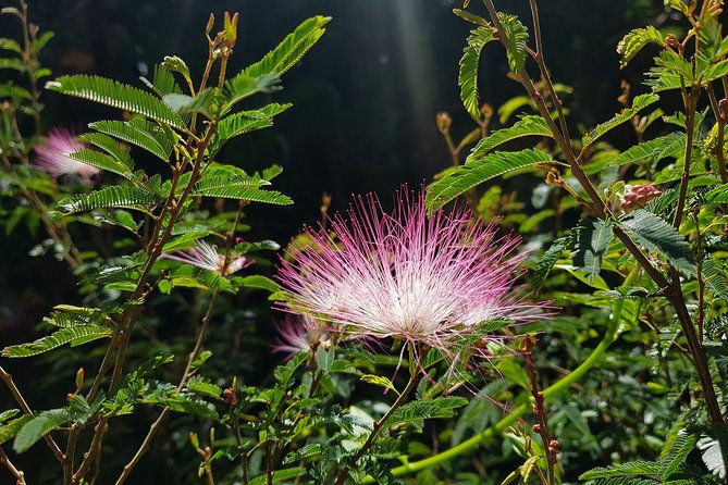 hiking-adventure-in-serra-dos-orgaos-national-park-from-rio