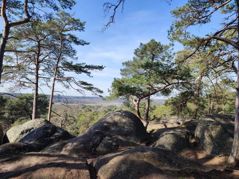 hiking-adventure-in-the-fontainebleau-forest