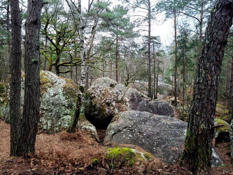 hiking-adventure-in-the-fontainebleau-forest
