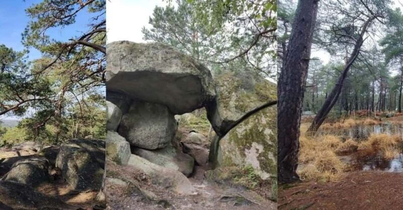 hiking-adventure-in-the-fontainebleau-forest