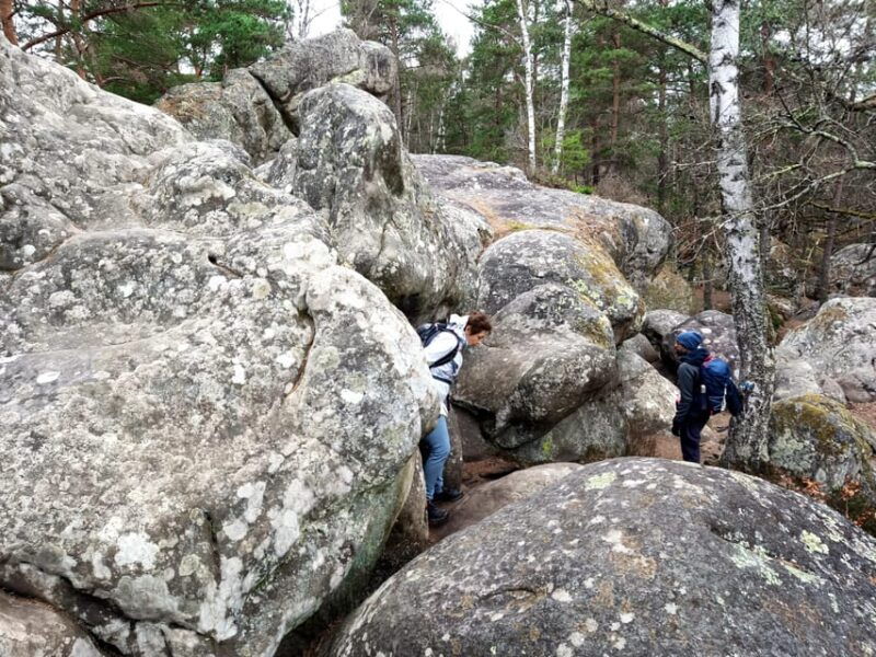 hiking-adventure-in-the-fontainebleau-forest