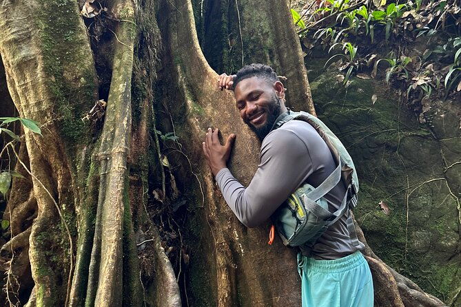 hiking-adventure-waterfalls-and-swim-in-el-yunque-with-a-local