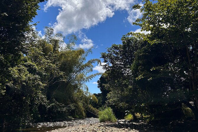 hiking-adventure-waterfalls-and-swim-in-el-yunque-with-a-local