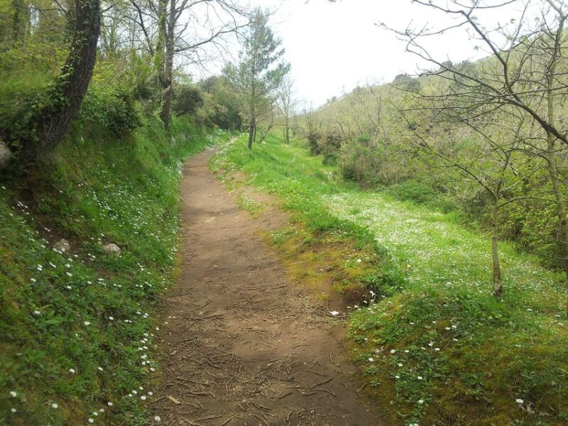 hiking-anacapridiscover-nature-away-from-the-crowdsascent-to-montesolaro