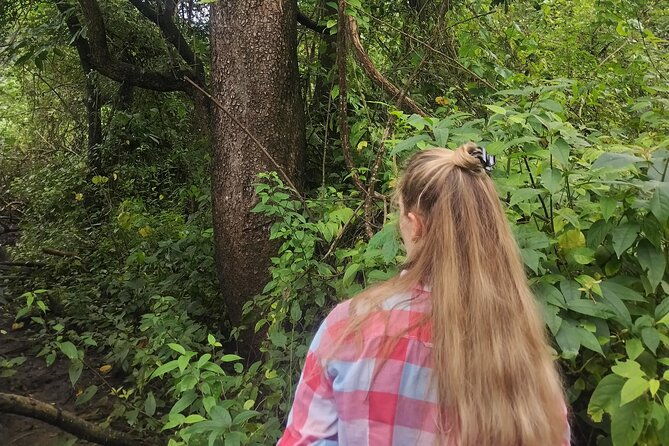 hiking-and-birdwatching-nosara