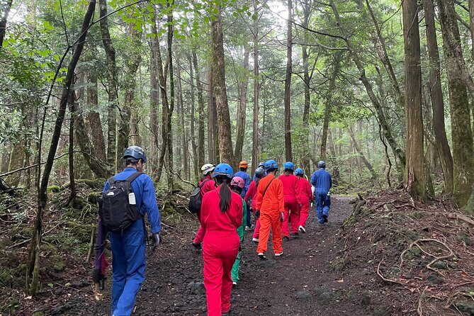 Hiking and Caving in Aokigahara Forest at the Foot of Mt. Fuji - Who Will Enjoy This Tour?