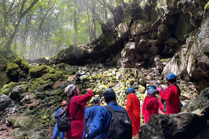 Hiking and Caving in Aokigahara Forest at the Foot of Mt. Fuji - FAQs