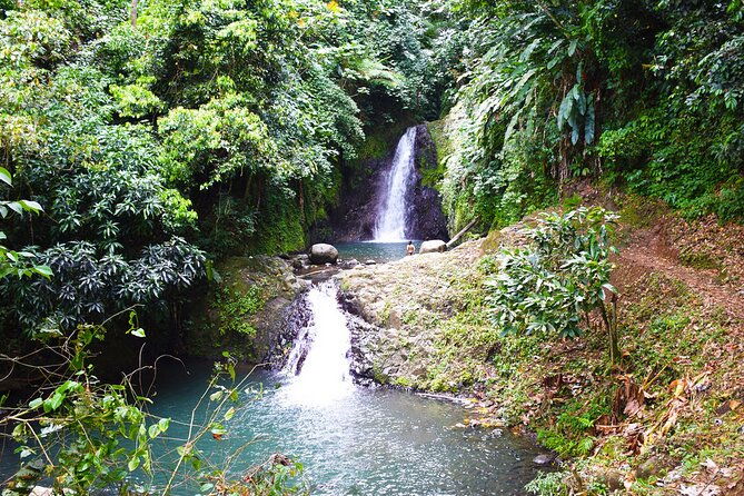 hiking-and-nature-rehabilitation-tour