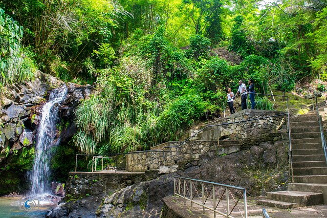 hiking-and-nature-rehabilitation-tour