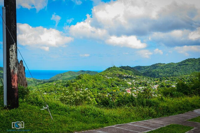 hiking-and-nature-rehabilitation-tour