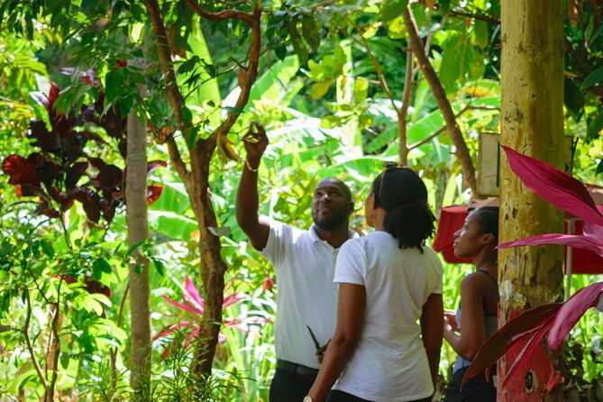 hiking-and-nature-rehabilitation-tour